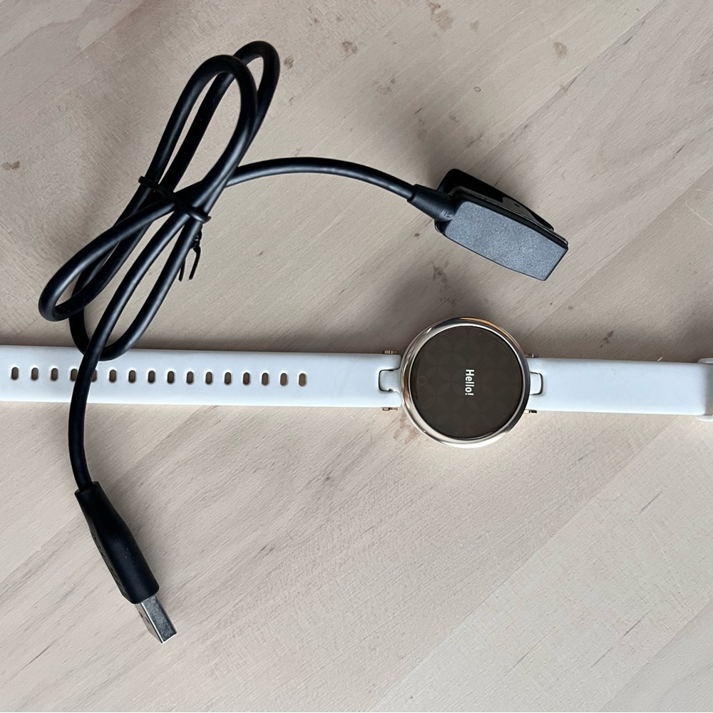 Garmin Lily Smartwatch